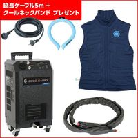 RCS-100SET-F-CP2（直送品）