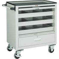 トラスコ中山 TRUSCO エースワゴンW 685X450XH802 ケント扉 BM-10CW NG 1台 688-3640（直送品）