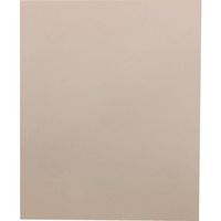 三共 SIC(炭化ケイ素)フリー耐水ペーパー DWCS 230×280#80 DWCS-230X280-80 1セット(100枚)（直送品）