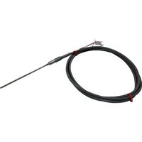 日本電測 リード線形シース白金測温抵抗体 RN1-3.2-10-2M 1本 523-9542（直送品）