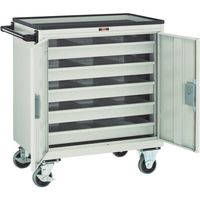 トラスコ中山 TRUSCO エースワゴンW 685X450XH802 観音扉 BM-50DW NG 1台 688-3639（直送品）