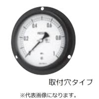 BA15-273X-0.1/0.6MPA(コウセイ)（直送品）