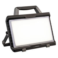 岩崎電気 レディオック ハンディワークライト PWFB04010 1式（直送品）