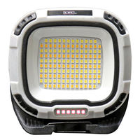 LPL LEDライト VLーGZ145D L26623 1個（直送品）