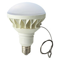 東京メタル 屋外レフ型LEDランプ LDR30NE39-TM 1個（直送品）