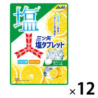 タブレット 三ツ矢塩タブレット 1セット（1個×12）