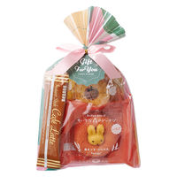 スイーツプチギフトＢ  1袋 手土産 洋菓子 お菓子 お礼 ばらまき 配り菓子 プレゼント ドーナツ カフェラテ