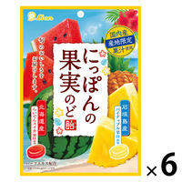 飴 個包装 お配り菓子 にっぽんの果実のど飴 スイカとパイナップル 1セット(1個×6)