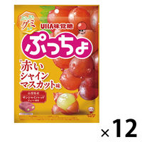 ソフトキャンディ ぷっちょ　赤いシャインマスカット味 1セット(1個×12)