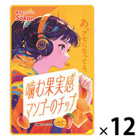 フルーツチップス 食べきりサイズ 噛む果実感 マンゴーのチップ　30g 1セット(1個×12)