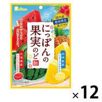 飴 個包装 お配り菓子 にっぽんの果実のど飴 スイカとパイナップル 1セット(1個×12)