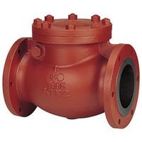 キッツ スイングチャッキバルブ(10FCORS) 10FCORS 65A 1個（直送品）