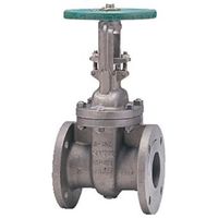 キッツ ゲート(150UMAMT) 150UMAMT 50A 1個（直送品）