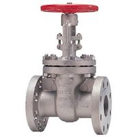 キッツ ゲート(300UMA) 300UMA 100A 1個（直送品）