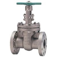 キッツ ゲート(300UMAM) 300UMAM 20A 1個（直送品）