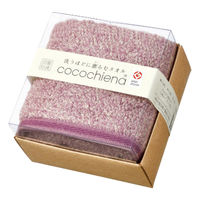 日繊商工 フェイスタオル 1062-017 CE1022 1個（直送品）