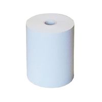 JFEアドバンテック プリンタ記録紙 DPUーS245用 10巻入り TP-S245L 1巻（直送品）