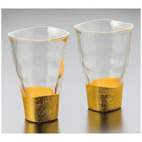 箔一 貫入タンブラーグラス2客セット A061-03002 1個（直送品）