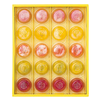 中島大祥堂 ピッコロドルチェ PDB-20 1個（直送品）