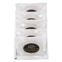 サンショク 松阪牛入(31%)生ハンバーグ5個 HB5-50MA 1個（直送品）