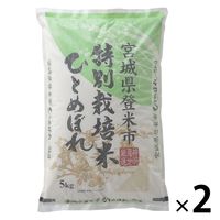 宮城県登米産ひとめぼれ 10kg(5kg×2袋) 【精白米】 【特別栽培米】 米