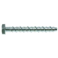 RS PRO アンカーボルト， 亜鉛めっきスチール 14 x 200 取付穴径16mm 長さ200mm 177-6920 1袋(5個)（直送品）