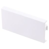 アールエスコンポーネンツ フェイスプレート RS PRO 768-4232 1個（直送品）