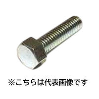 三笠・鋲螺 六角ボルト小ネジ 鉄ユニクロ 全ねじ W1/4×20 600本入 1100100044092 1箱(600本入)（直送品）