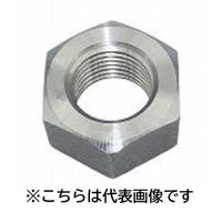 三笠・鋲螺 熱間切削ナット 鉄 生地 M48 1個 1100100044899（直送品）