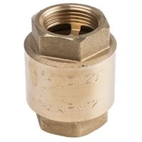 アールエスコンポーネンツ 逆止弁 RS PRO 真鍮 486-158 1個（直送品）