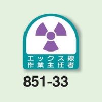 ユニット 作業主任者ステッカー エックス線作業主任者 2枚1シート 851ー33 851-33 1シート(2枚)（直送品）