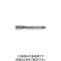 ワルタージャパン プロトティップ マシンタップ 21361-M30X2 1個 802-6838（直送品）