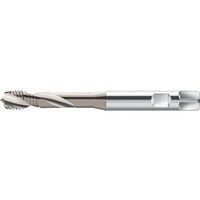 ワルタージャパン Prototyp マシンタップ S20516-M6 1個 802-9437（直送品）