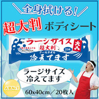 iiもの本舗 超大判 クールタオル ラージサイズ冷えてます 汗拭きシート 4589596693453 20枚入×6パック（直送品）