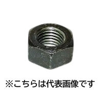 三笠・鋲螺 S45C(H)熱処理六角ナット 1種 M16 20個入 1100100044920 1セット(20個入)（直送品）