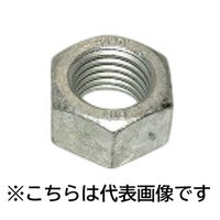 三笠・鋲螺 S45C(H)熱処理六角ナット 1種 ドブメッキ M20 125個入 1100100045039 1箱(125個入)（直送品）