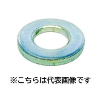 三笠・鋲螺 ハイテン丸座金 鉄 ユニクロ M10×22×3.2 50枚入 ワッシャー 1100100045461 1セット(50枚入)（直送品）