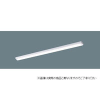 ヤザワコーポレーション ベースライト40形トラフ5200lm昼白色1灯 NNLK41509+NEL4500EN1トウ 1セット(1台)（直送品）