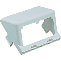PANDUIT 1/2サイズ2ポート用傾斜型アダプタ枠 オフホワイト(10個入) CHS2IW-X 1セット(50個:10個×5袋)（直送品）