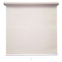 ロールスクリーン 厚手 洗える TR-1582 850×800mm シャンパン 1台（直送品）