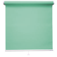 ロールスクリーン 厚手 TR-1086 1500×800mm シエル 1台（直送品）
