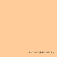 デュポン・スタイロ ウッドラックパネル　アドカラー　ベージュ　７ｍｍ厚　９１０×１８２０　紙貼り　２０枚梱包 023213 1式（直送品）