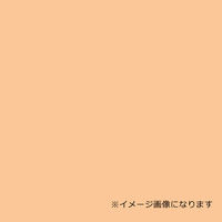 EbhbNpl J[ x[W 5mm 910×1820 F 20iij