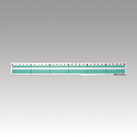 クラウングループ ノングレアルーラー CR-RR301 1セット(1本×10)