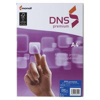 伊東屋 ＤＮＳ　ｐｒｅｍｉｕｍＡ４　１６０ｇ DNS102 3冊（直送品）