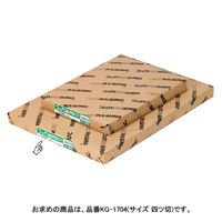 文運堂 コッカ画用紙ＮＯ．１７０４ １００枚入 KG-1704 1包（直送品