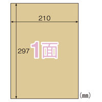 ヒサゴ クラフト紙ラベルライト 全面 OPC862 1セット(1パック×3)