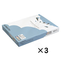 日本ノート プレミアムホワイトＡ３　【青箱３冊】 PPCKA303 1箱