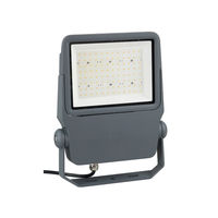 【イルミネーション】 LEDプロジェクションライト 白・電球色・散光型・40W型 PDS-C01-40WL 1個 ジェフコム（直送品）