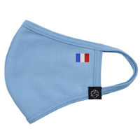 三和 国旗マスク フランス SRO-FR 5枚（直送品）